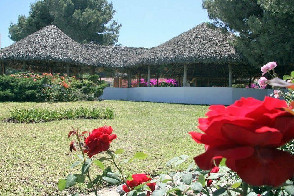 Mision Express Saltillo Kültér fotó